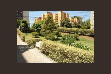 Apartamento à venda com 2 quartos, 55m² em Parque Sao Vicente, Santo André