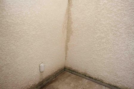 Apartamento para alugar com 42m², 2 quartos e sem vaga Apartamento para alugar com 42m², 2 quartos e sem vagaQuintal
