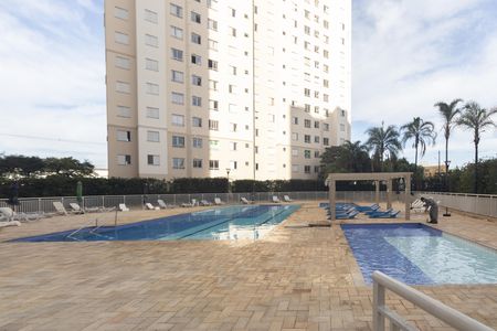 Área comum - Piscina de apartamento à venda com 2 quartos, 45m² em Ponte Grande, Guarulhos