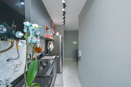 Apartamento para alugar com 47m², 2 quartos e 1 vaga Apartamento para alugar com 47m², 2 quartos e 1 vagaCozinha