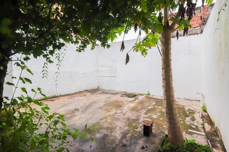 Casa para alugar com 60m², 1 quarto e sem vagaQuintal