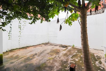 Casa para alugar com 60m², 1 quarto e sem vagaQuintal