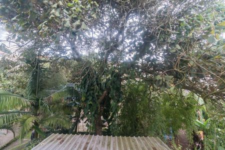 Casa para alugar com 150m², 3 quartos e 6 vagas Casa para alugar com 150m², 3 quartos e 6 vagasVista do Quarto Externo 2