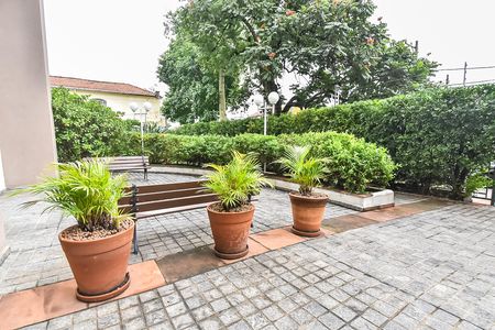 Área comum de apartamento para alugar com 3 quartos, 118m² em Vila Clementino, São Paulo