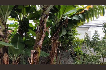Casa para alugar com 54m², 1 quarto e 1 vaga Casa para alugar com 54m², 1 quarto e 1 vagaQuintal