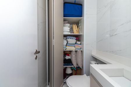 Apartamento à venda com 54m², 2 quartos e 1 vagaLavabo - Detalhe do Armário
