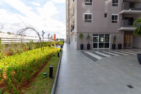 Apartamento à venda com 54m², 2 quartos e 1 vagaÁrea comum - Área Verde