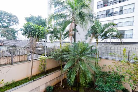 Apartamento para alugar com 60m², 2 quartos e 1 vagaVista do Quarto 1