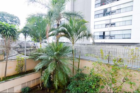 Apartamento para alugar com 60m², 2 quartos e 1 vagaVista da Suíte