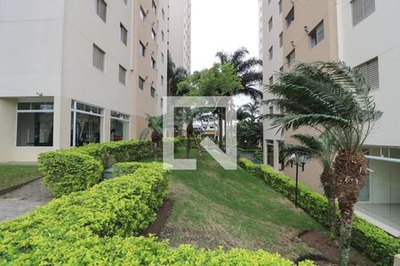 Apartamento para alugar com 60m², 2 quartos e 1 vaga Apartamento para alugar com 60m², 2 quartos e 1 vagaÁrea comum - Jardim