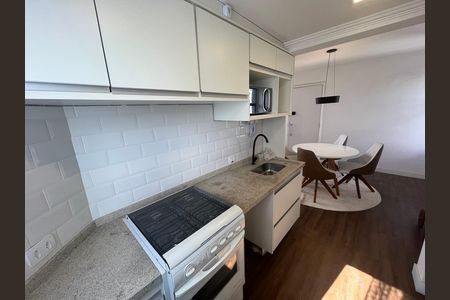 Cozinha de apartamento para alugar com 2 quartos, 60m² em Parque Bairro Morumbi, São Paulo