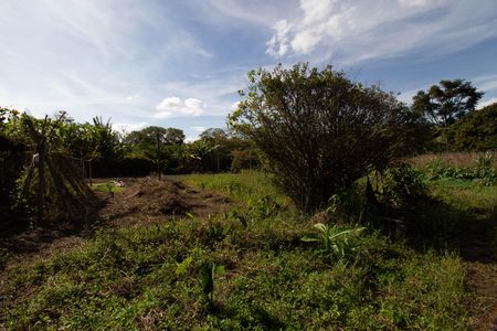 Casa à venda com 5m², 4 quartos e sem vagaQuintal