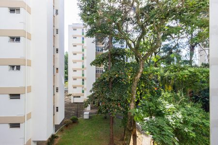 Vista Quarto 2 de apartamento para alugar com 2 quartos, 70m² em Jardim Iris, São Paulo