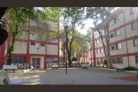 Apartamento à venda com 3 quartos, 74m² em Vila Constança, São Paulo