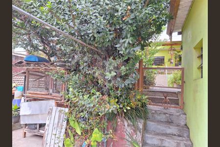 Casa à venda com 5 quartos, 450m² em Vila Nova Mazzei, São Paulo