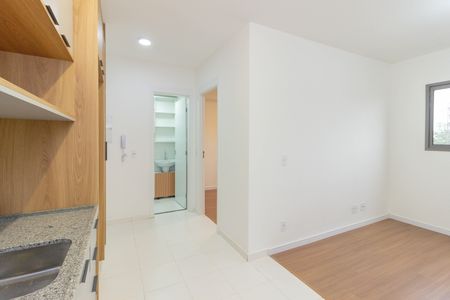 Cozinha de apartamento para alugar com 1 quarto, 31m² em Vila Albertina, São Paulo