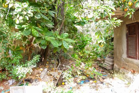 Casa para alugar com 30m², 1 quarto e 1 vaga Casa para alugar com 30m², 1 quarto e 1 vagaQuintal