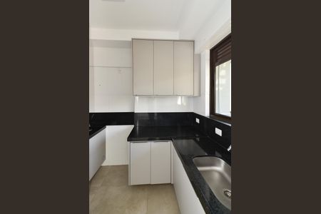 Cozinha de apartamento para alugar com 3 quartos, 88m² em São Lucas, Belo Horizonte