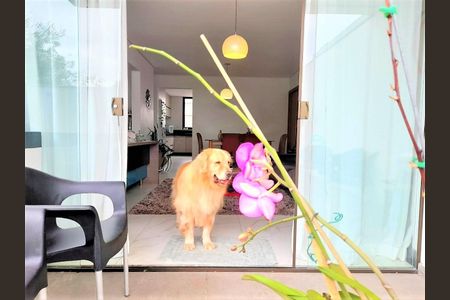 Apartamento à venda com 4 quartos, 323m² em Ouro Preto, Belo Horizonte