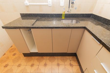 Cozinha  de apartamento para alugar com 2 quartos, 47m² em Conjunto Residencial José Bonifácio, São Paulo