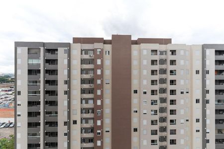 Apartamento para alugar com 62m², 3 quartos e 1 vagaVista do quarto 1