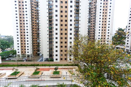 Apartamento à venda com 68m², 2 quartos e 1 vaga Apartamento à venda com 68m², 2 quartos e 1 vagasuíte vista