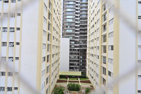 Apartamento para alugar com 120m², 3 quartos e 2 vagas Apartamento para alugar com 120m², 3 quartos e 2 vagasVista da Suíte