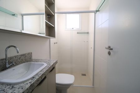 Banheiro Social de apartamento para alugar com 2 quartos, 60m² em Novo Mundo, Uberlândia