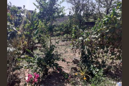 Casa à venda com 240m², 7 quartos e 3 vagas Casa à venda com 240m², 7 quartos e 3 vagasÁrea externa