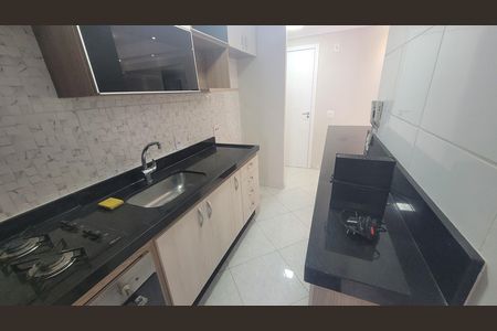 Cozinha de apartamento para alugar com 2 quartos, 55m² em Vila Ivone, São Paulo