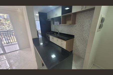 Cozinha de apartamento para alugar com 2 quartos, 55m² em Vila Ivone, São Paulo