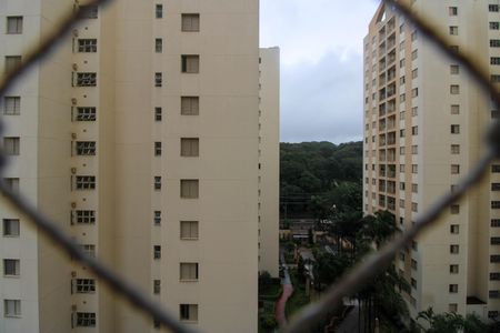 Apartamento à venda com 65m², 3 quartos e 1 vaga Apartamento à venda com 65m², 3 quartos e 1 vagaVista Quarto 1
