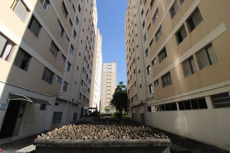 Apartamento para alugar com 70m², 2 quartos e 1 vagaÁrea Comum