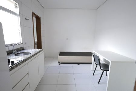 Quarto, Sala, Cozinha de apartamento para alugar com 1 quarto, 15m² em Vila Sao Pedro, Santo André