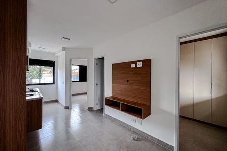 Sala de apartamento para alugar com 2 quartos, 38m² em Vila Canero, São Paulo