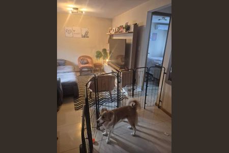 Apartamento à venda com 57m², 2 quartos e 1 vaga