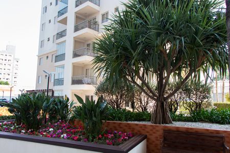 Apartamento para alugar com 55m², 2 quartos e 1 vaga Apartamento para alugar com 55m², 2 quartos e 1 vagaÁREA COMUM - ÁREA EXTERNA