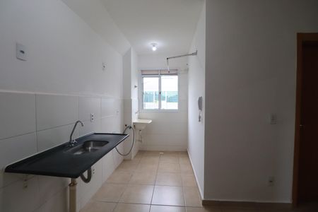 Cozinha  de apartamento para alugar com 2 quartos, 43m² em Chácaras Pedro Corrêa de Carvalho, Ribeirão Preto
