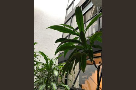 Área externa de apartamento à venda com 1 quarto, 48m² em Santa Teresa, Rio de Janeiro