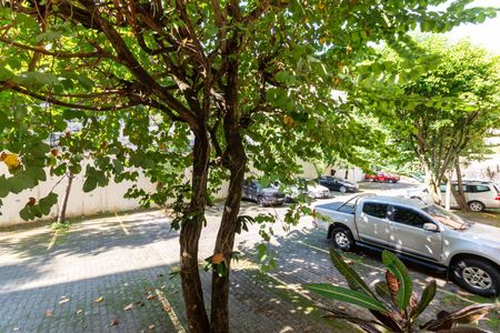 Vista Quartos de apartamento para alugar com 2 quartos, 55m² em Rio Comprido, Rio de Janeiro