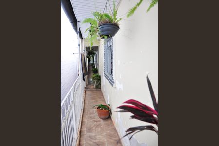 Detalhe - Corredor Externo de casa à venda com 2 quartos, 180m² em Jardim Iris, São Paulo