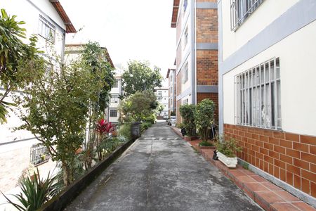 Apartamento para alugar com 70m², 3 quartos e 1 vagaÁrea comum