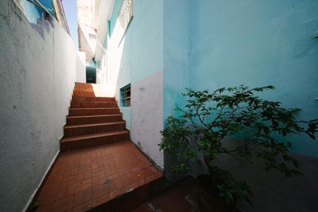 Área externa de casa à venda com 4 quartos, 300m² em Jardim Danfer, São Paulo
