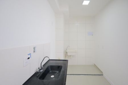 Cozinha de apartamento para alugar com 2 quartos, 33m² em Usina Piratininga, São Paulo