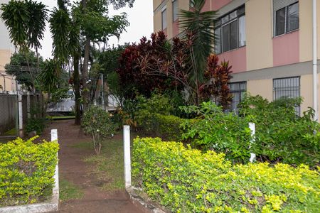 ÁREA VERDE de apartamento à venda com 4 quartos, 110m² em Vila Joao Jorge, Campinas