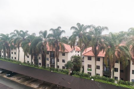 Apartamento para alugar com 76m², 3 quartos e 1 vaga Apartamento para alugar com 76m², 3 quartos e 1 vagaVista do Quarto 3