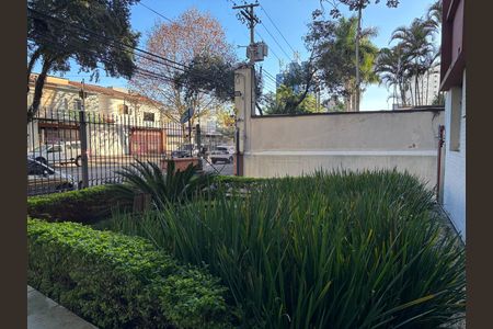 Jardim de apartamento para alugar com 1 quarto, 52m² em Vila Clementino , São Paulo