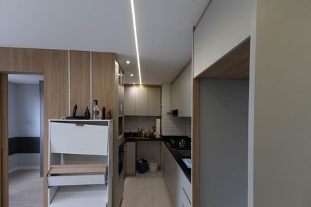 Apartamento para alugar com 39m², 2 quartos e sem vagaCozinha - Armários