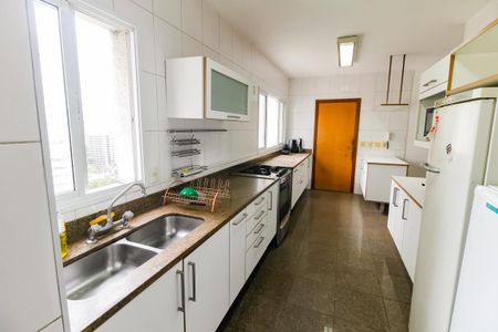 Apartamento à venda com 256m², 4 quartos e 4 vagasCozinha - Armários