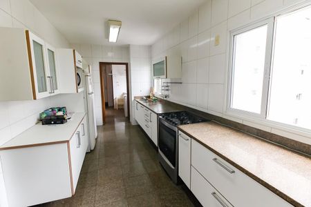 Apartamento à venda com 256m², 4 quartos e 4 vagasCozinha - Armários